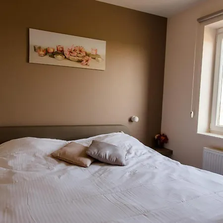 Coq Au Lit Le Coq